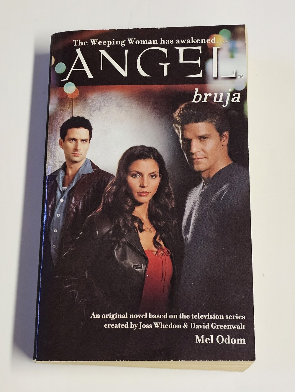 Angel Bruja Mel Odom Paperback TV Series Tie-In Buffy Universe Book